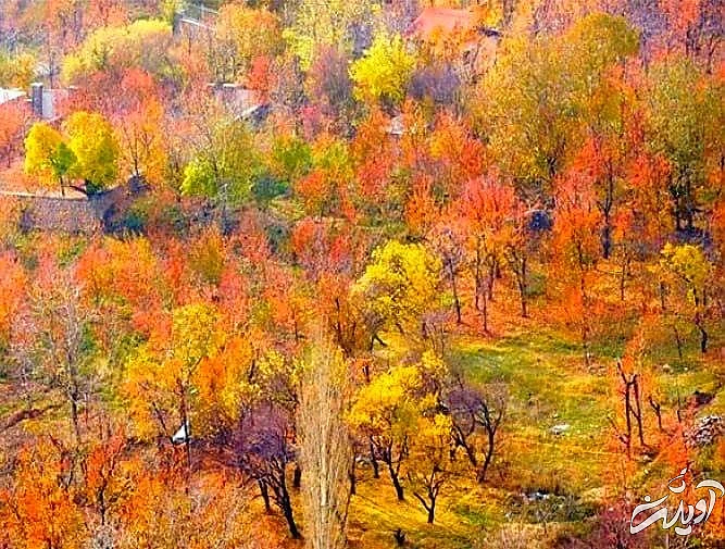 روستای افجه 